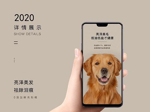 宠物狗粮详情