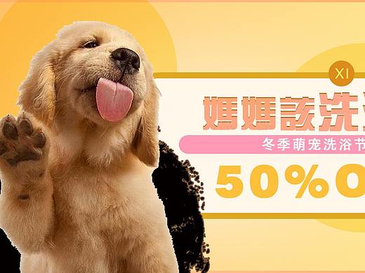 宠物banner