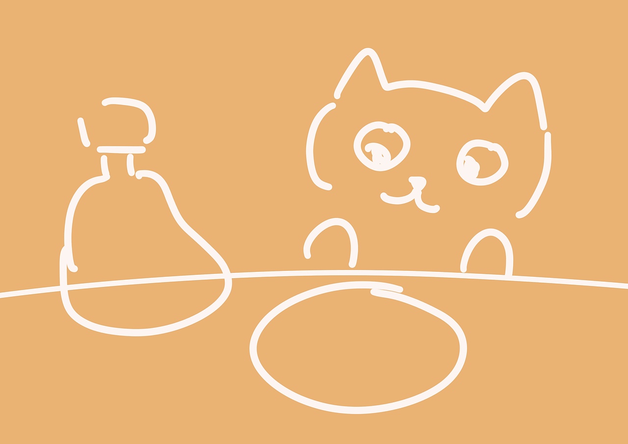 事实证明,猫仪式感和少女心起来,就没人什么事儿了