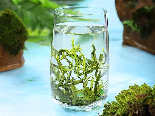 云雾绿茶茶叶摄影