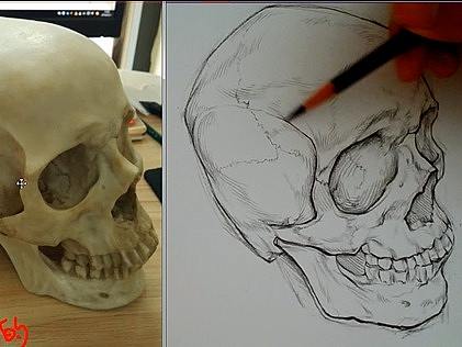 素描头骨小视频,加速版,喜欢的话欢迎留言