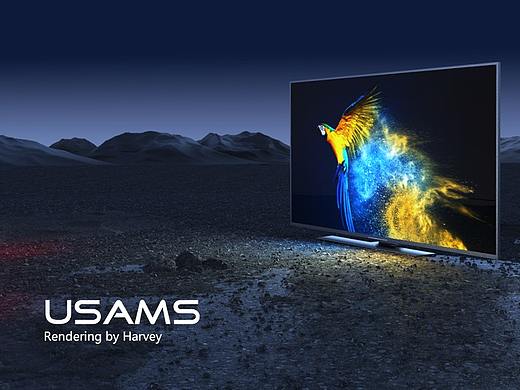 USAMS Rendering Record Q2