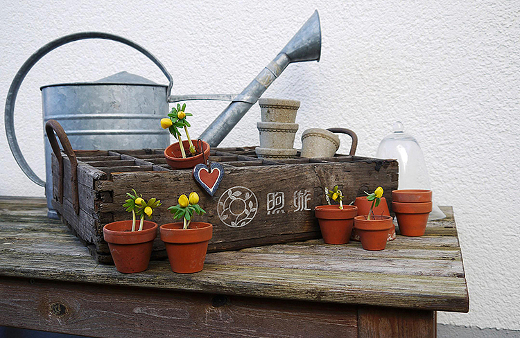 煦璇园林绿化品牌形象设计