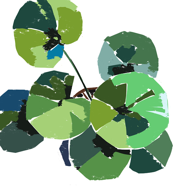 原創(chuàng)扁平風(fēng)插畫植物#防刮刀油畫（圖ZMjAxNDAwNjMy） - 創(chuàng)作習(xí)作 - 站酷設(shè)計師胡堯兒原創(chuàng)素材 - 站酷ZCOOL