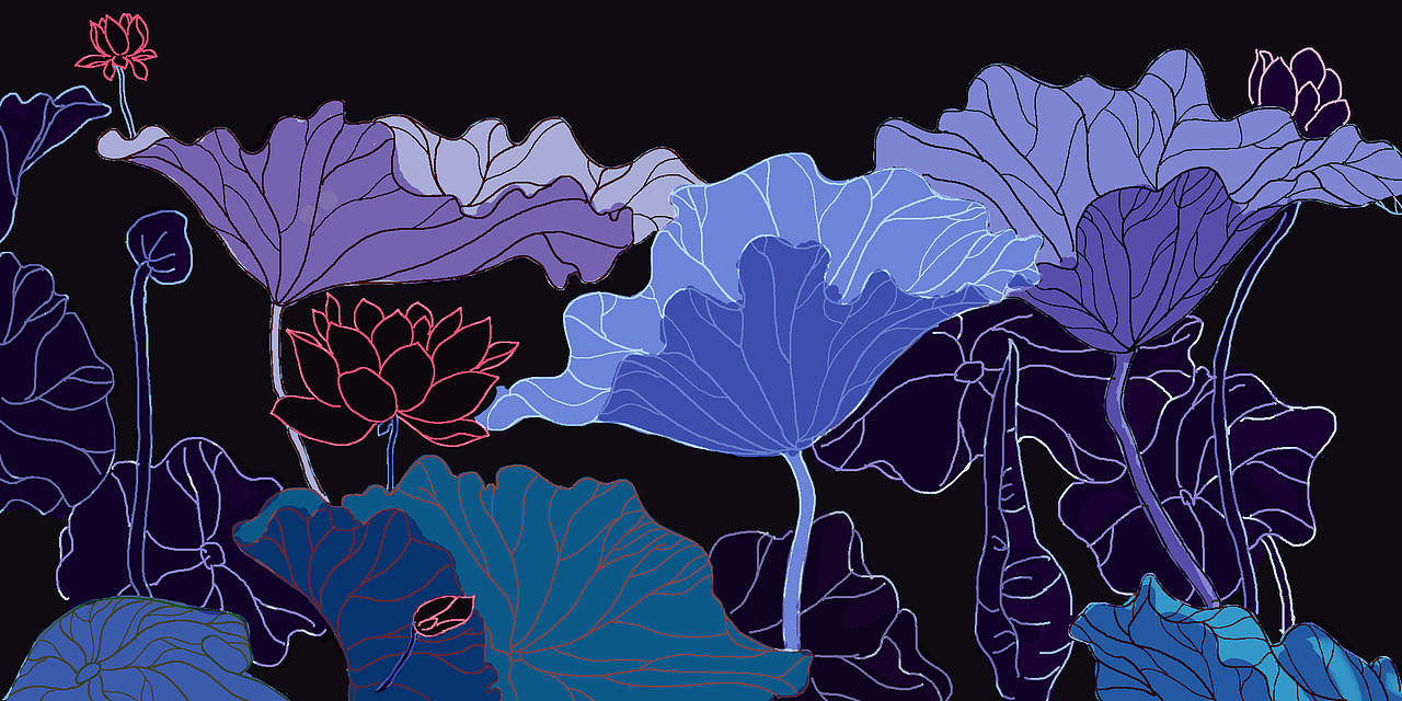 荷花（图ZODg4MTE4MzI=） - 图案 - 站酷设计师萤火的夏天原创素材 - 站酷ZCOOL