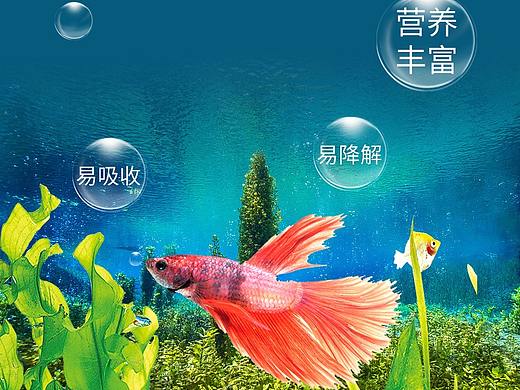 鱼粮详情
