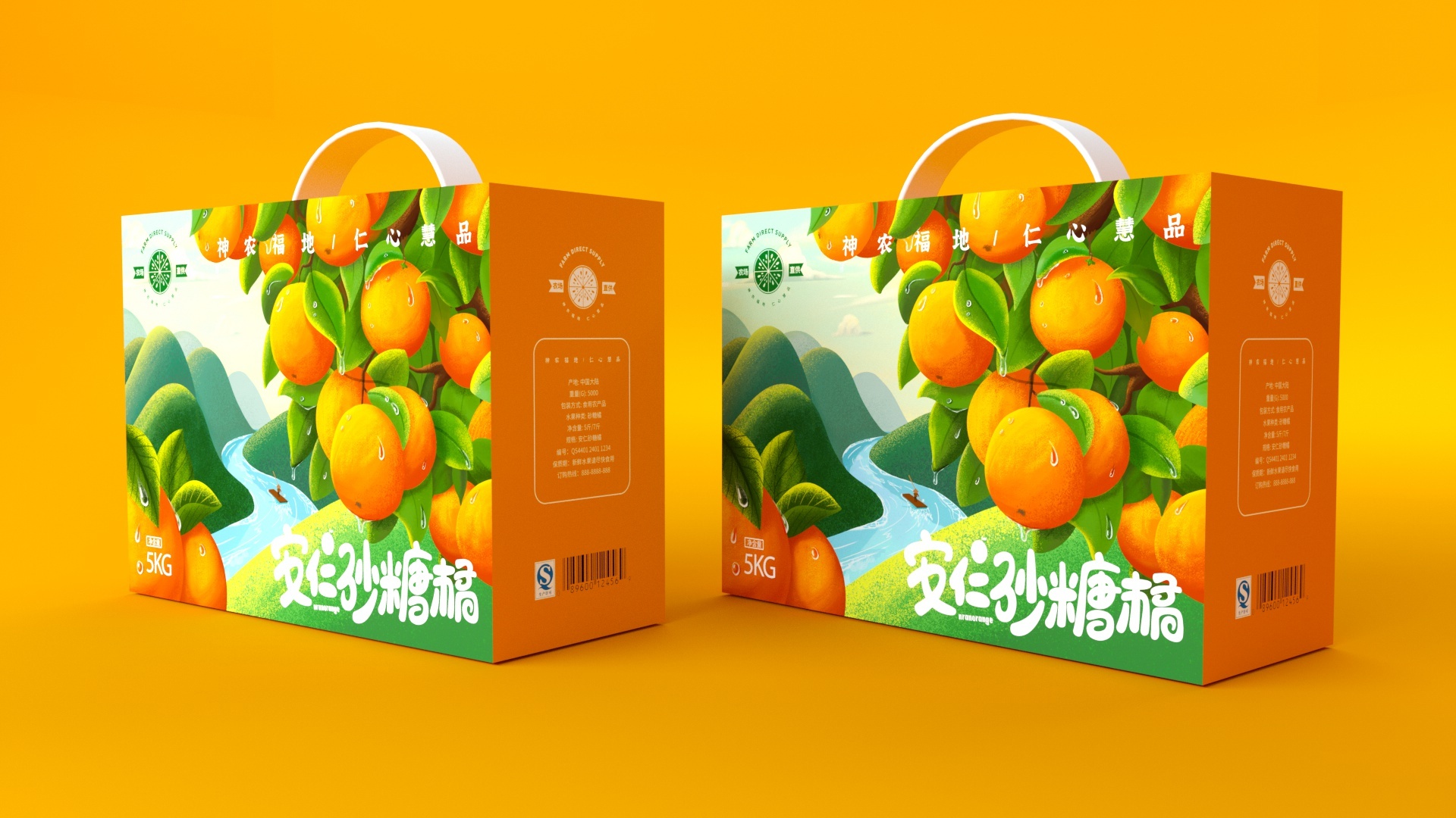 安仁沙糖桔插画包装