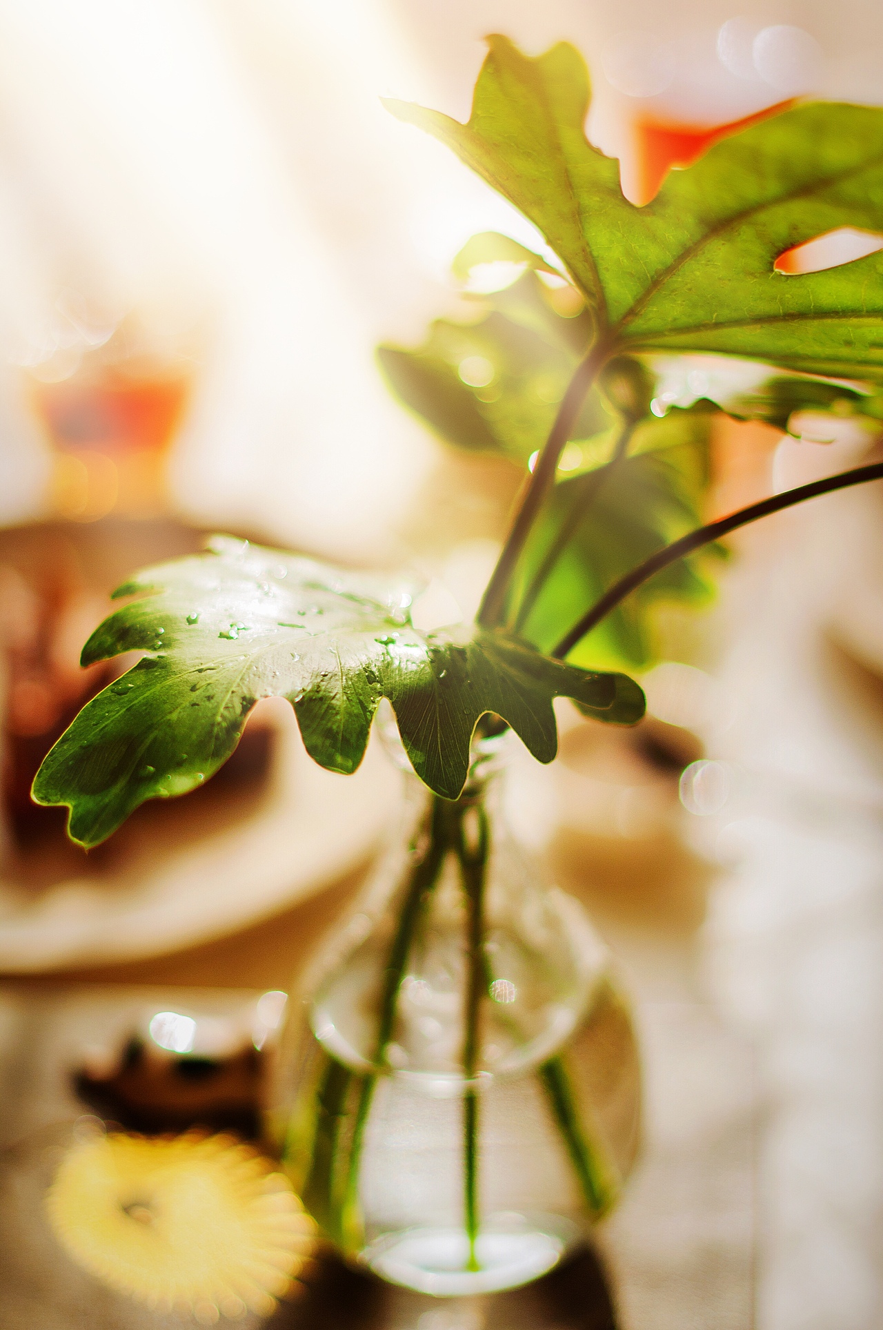 餐桌（图ZMTA4MDg1MzMy） - 产品摄影 - 站酷设计师Alice和糯米糍原创素材 - 站酷ZCOOL