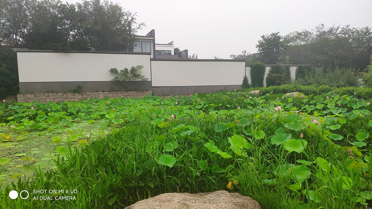 夏岸赏景（图ZMjY4MTM4MDE2） - 文案/策划 - 站酷设计师绕道鱼原创素材 - 站酷ZCOOL