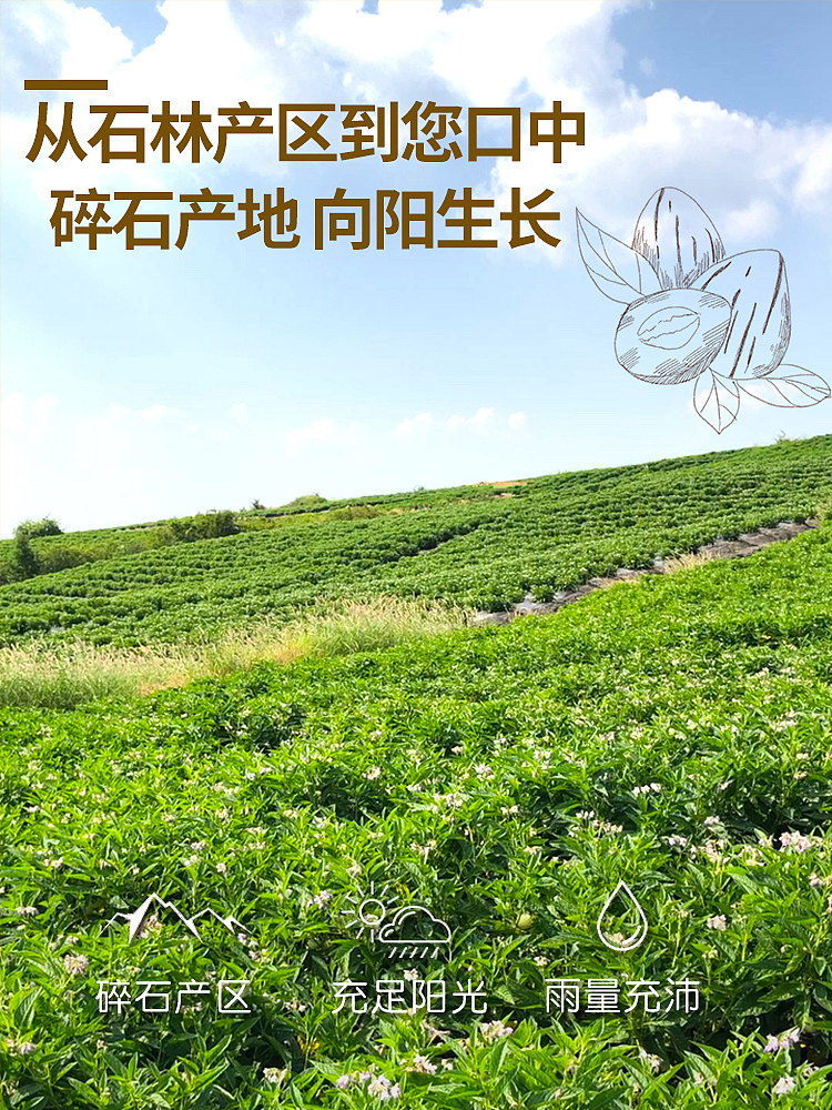 人参果主图