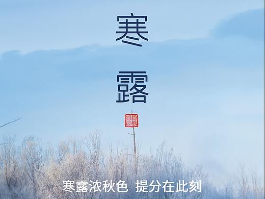寒露/二十四节气/碧空昼暖凝露天,草木缤纷映心间