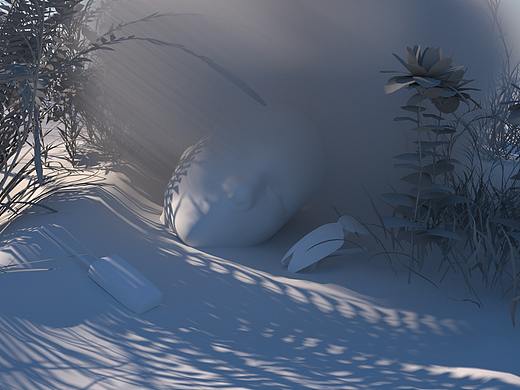 In the corner of the wilderness