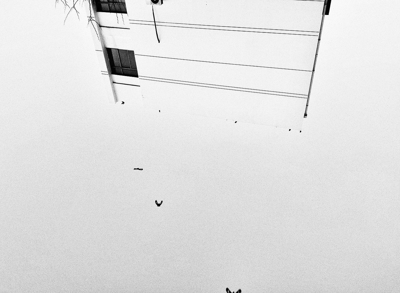 时间：2014-12-13
地点：苏州（大学教学楼）