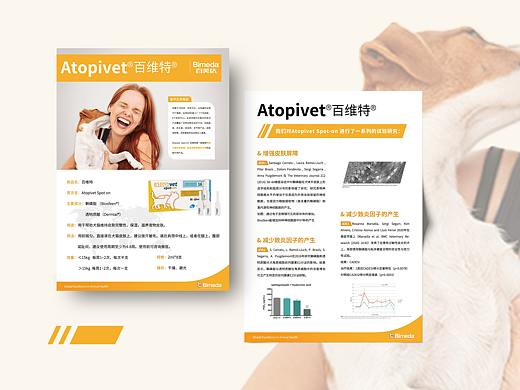 宠物用品 | 电商 | 海报 | 易拉宝 | 宣传物料 | 狗