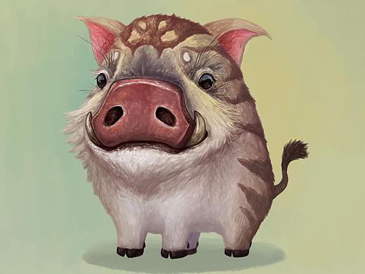 小猪
