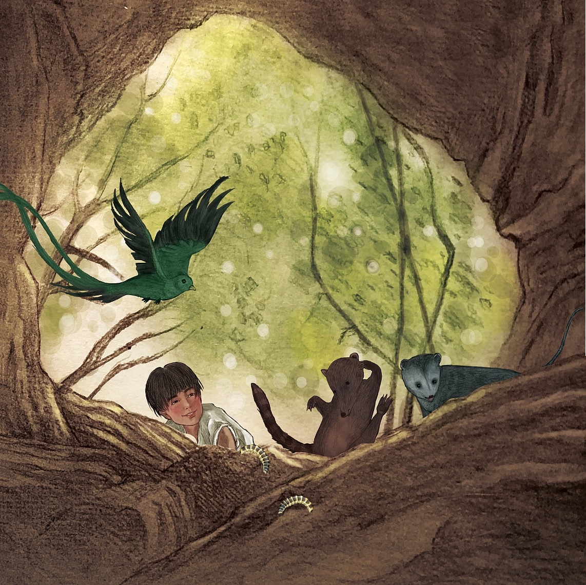 亚马逊丛林探险故事绘本