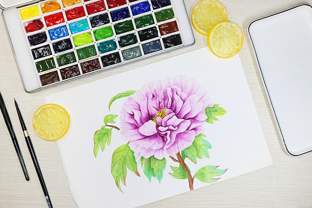 水彩教程视频课程-虎克网合作课程