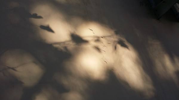 Rayay_的個人主頁（背景預覽） - 主頁背景設置 - 站酷設計師Rayay_原創(chuàng)素材 - 站酷ZCOOL