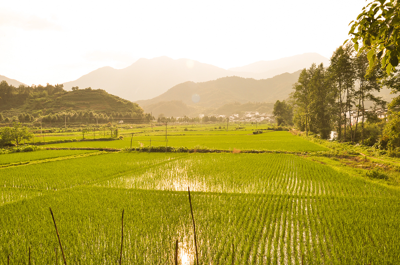 江西婺源（图ZMzYwNjQ2MTUy） - 风光摄影 - 站酷设计师郝德善原创素材 - 站酷ZCOOL