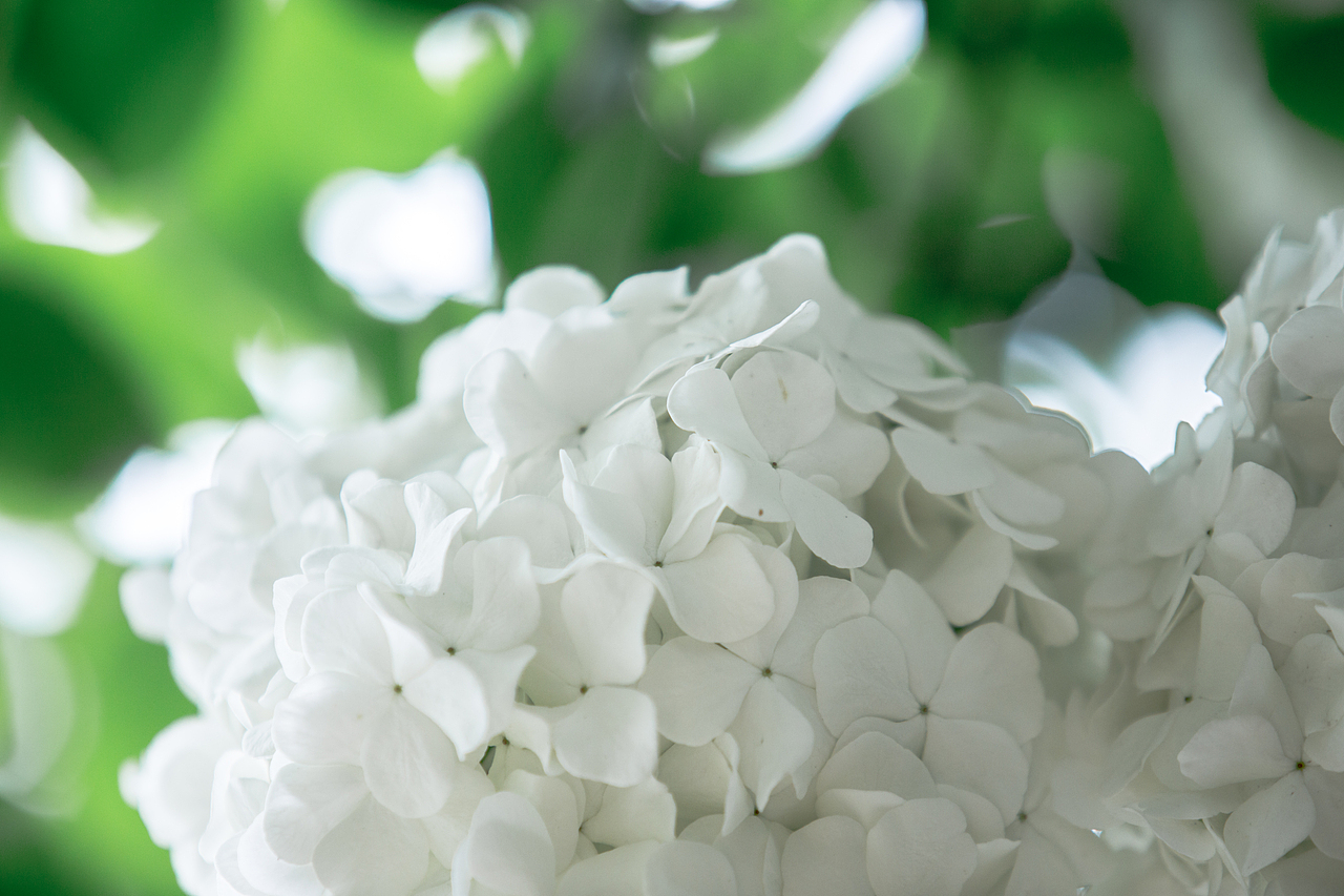 PURE WHITE（图ZNDYyNjY4MzI=） - 风光摄影 - 站酷设计师浮沉流星原创素材 - 站酷ZCOOL