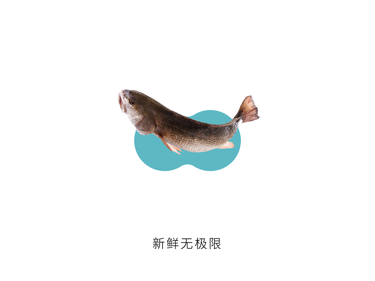 极味生鲜品牌视觉设计(图ZMTU5MDg2NTAw) - 品牌 - 站酷设计师你好高兴原创素材 - 站酷ZCOOL