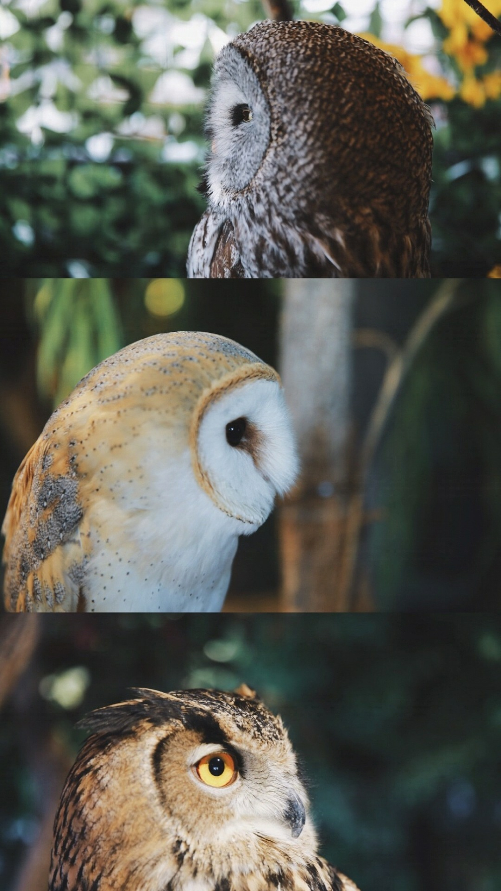 刘浪摄影作品《路灯之影》