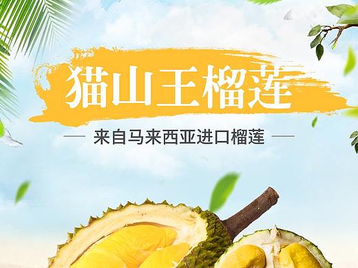 水果-猫山王榴莲详情页设计