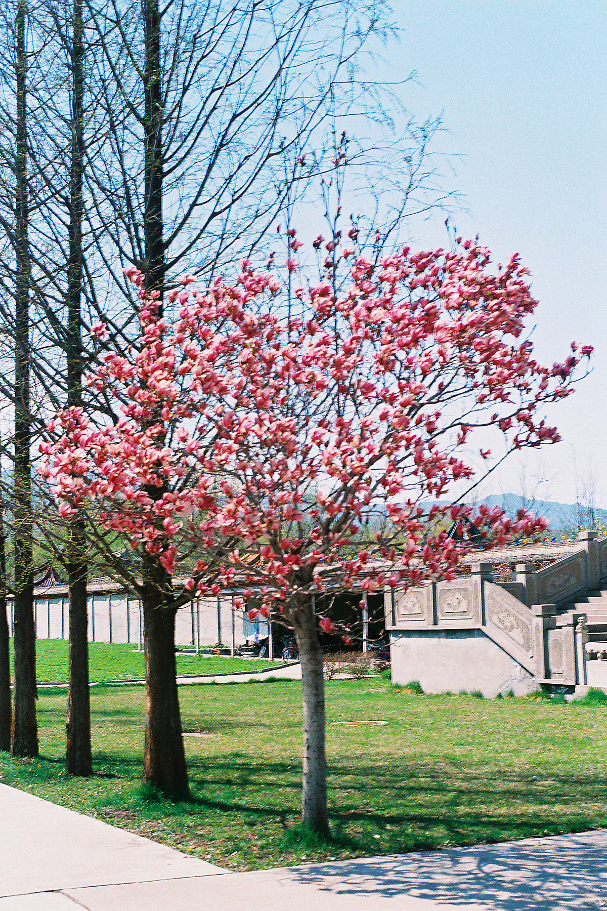 北京联合大学 广告学院 联大广院