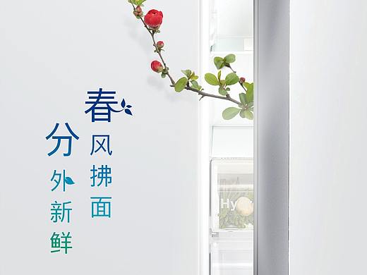 博世家电 春分冰箱创意海报