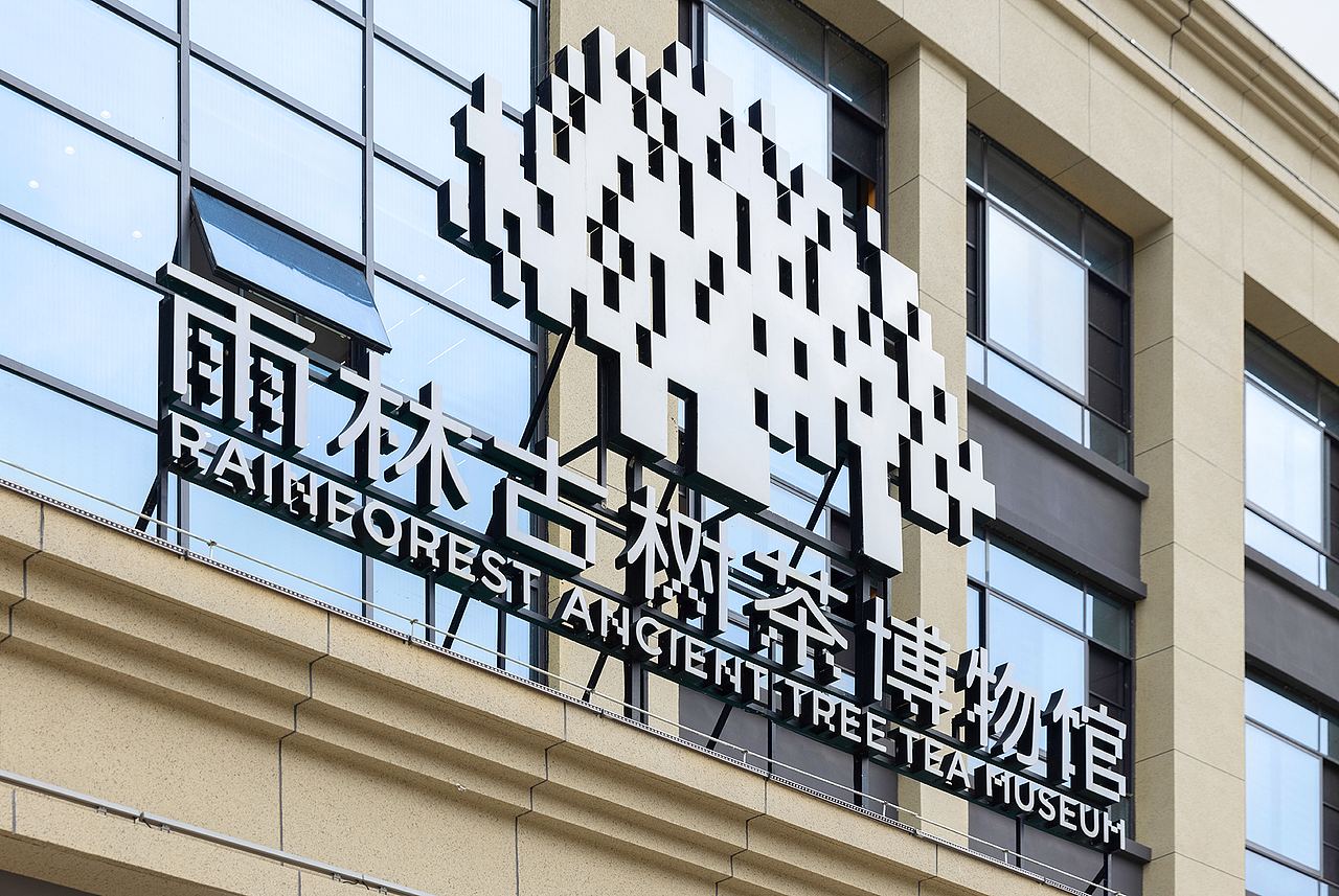 沉浸体验时代,雨林古树茶的体验之旅(图ZMjk0OTgxNjk2) - 展陈设计 - 站酷设计师容品牌原创素材 - 站酷ZCOOL
