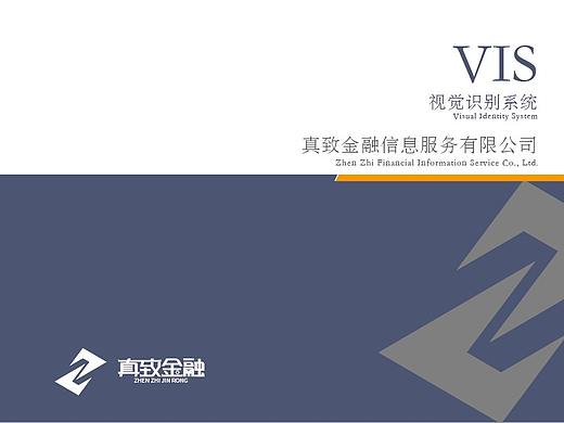 VIS手册