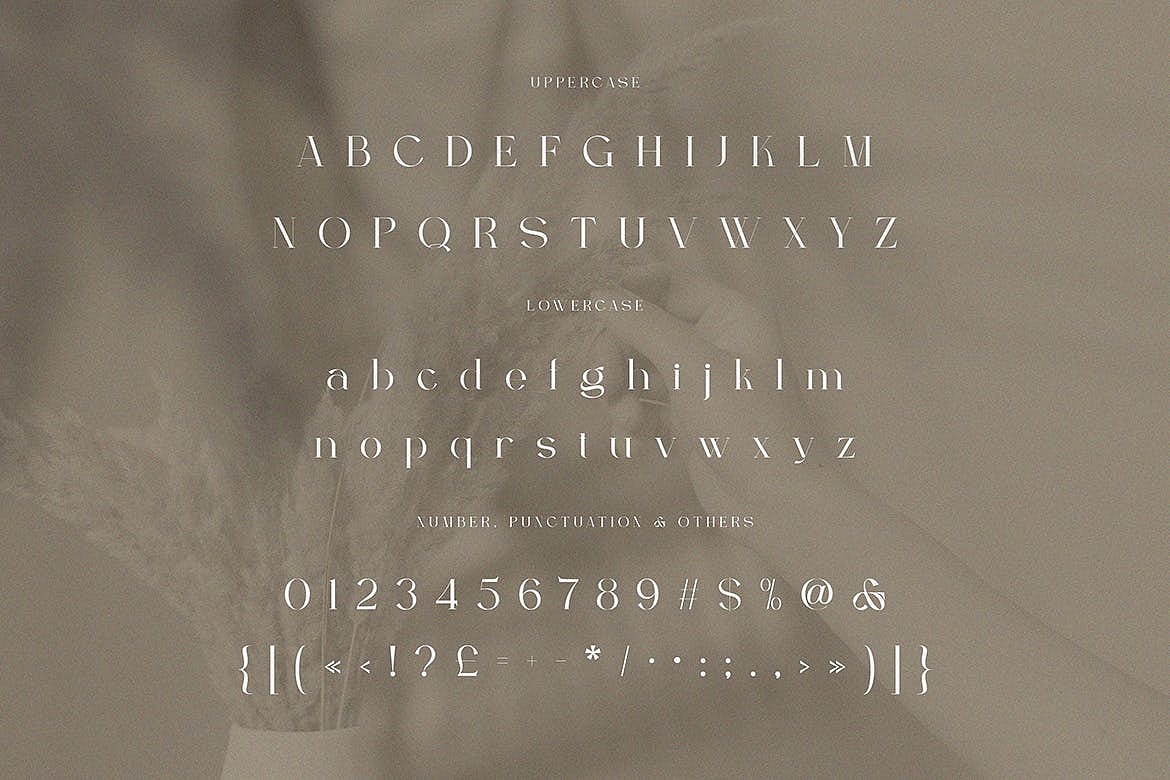 Berfilem - Editorial Display Serif