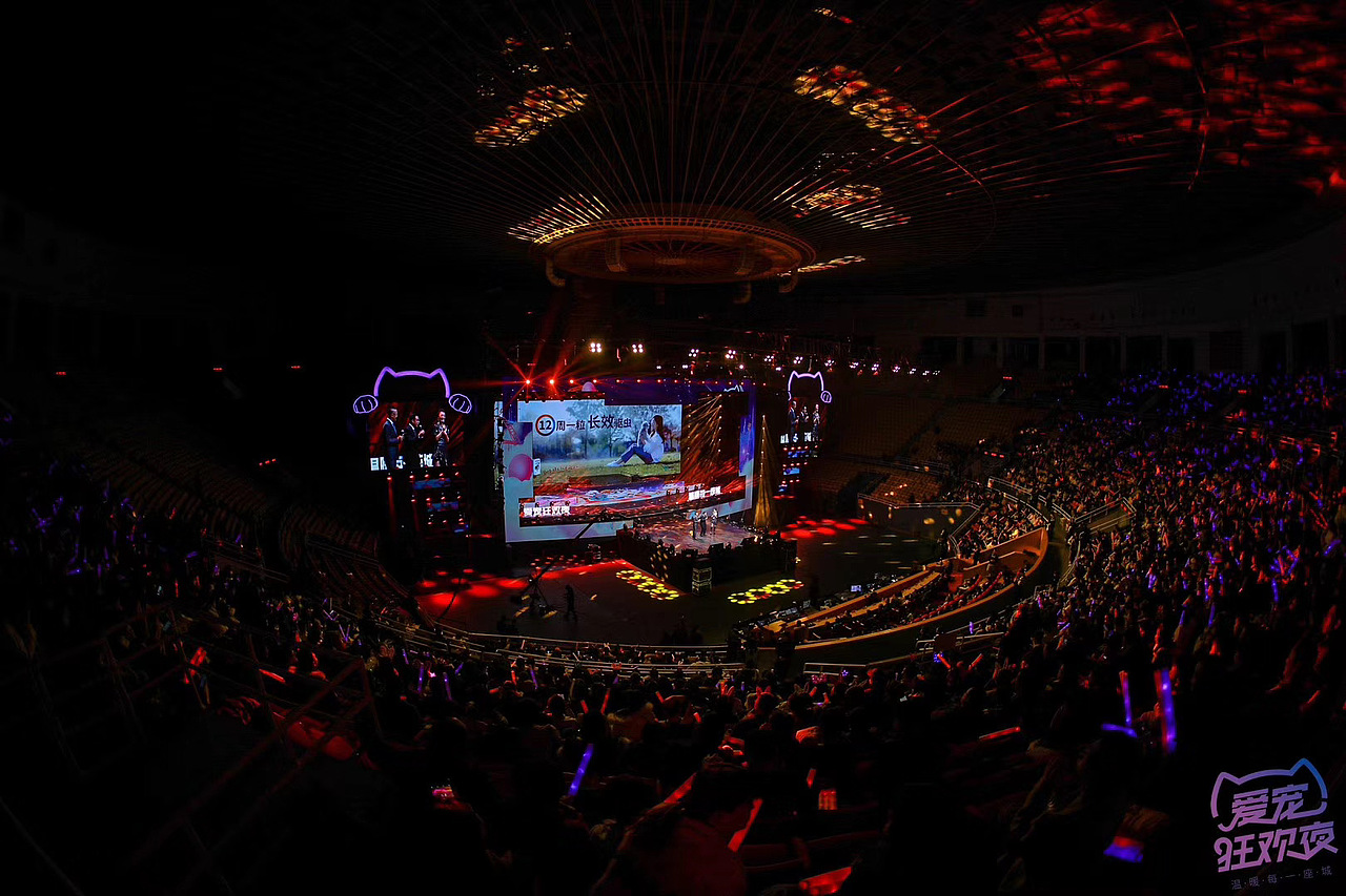 《工体宠物狂欢节》舞美设计