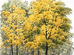 收录当下最流行动态插画卡通二维码制作教程!