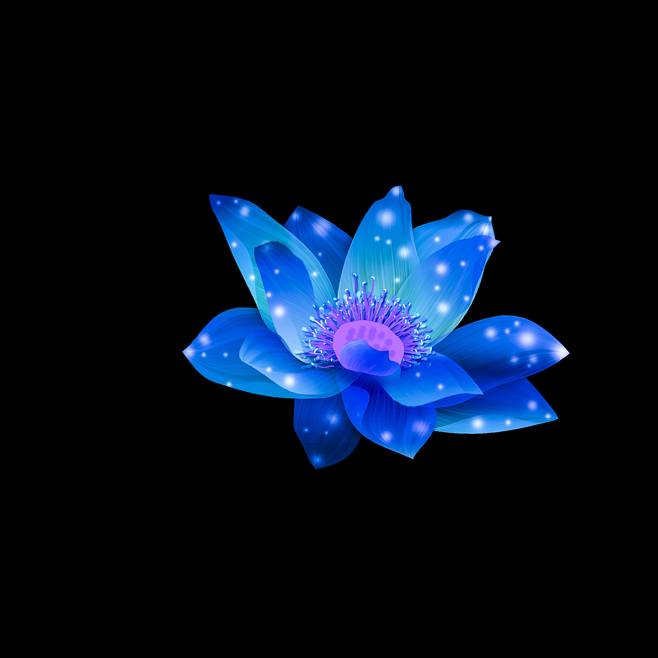 ps练习半透明花