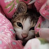 EETWO的头像