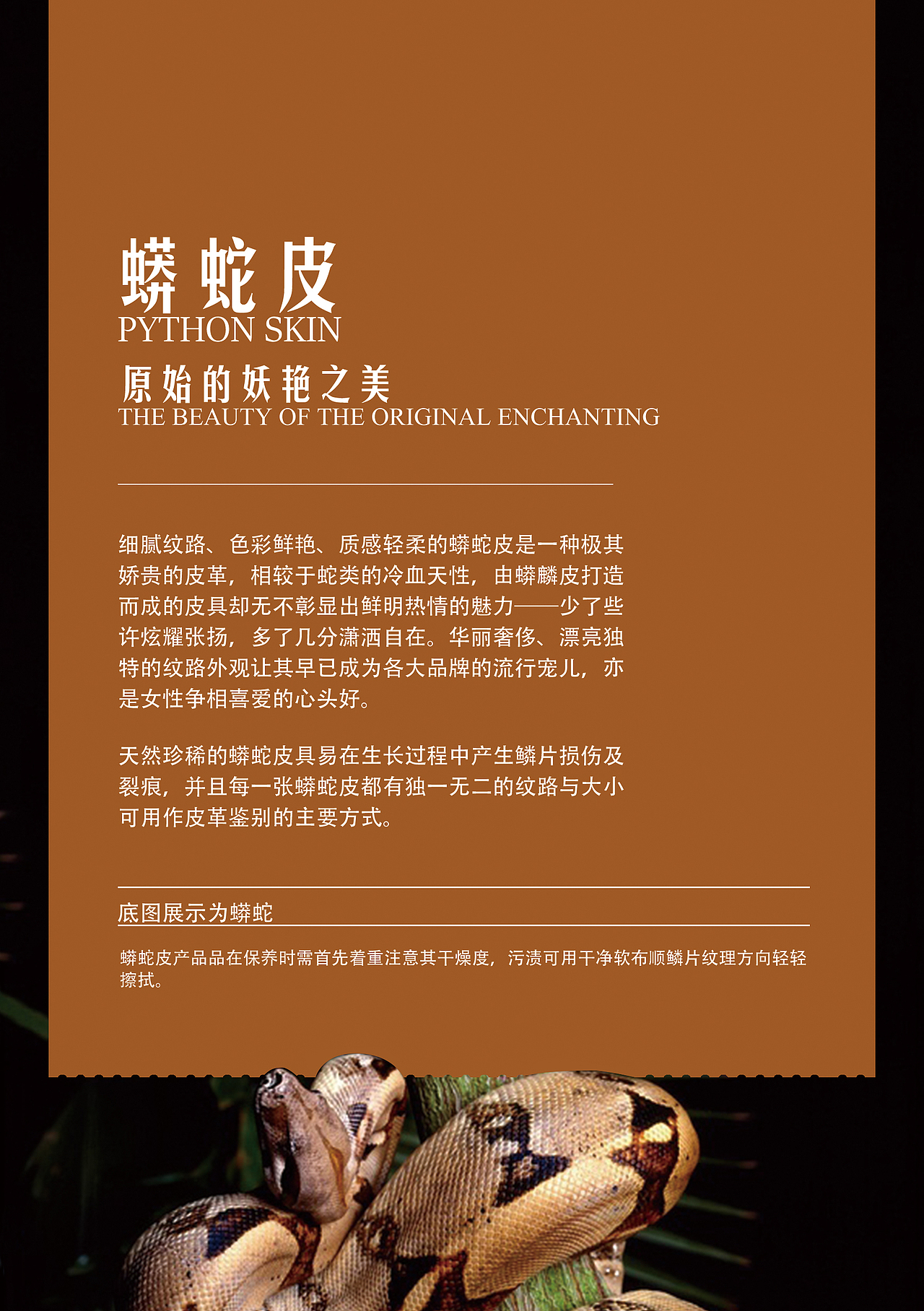 皮质卡片（图ZNDkxOTU0Njg=） - 品牌 - 站酷设计师三番尧彗原创素材 - 站酷ZCOOL