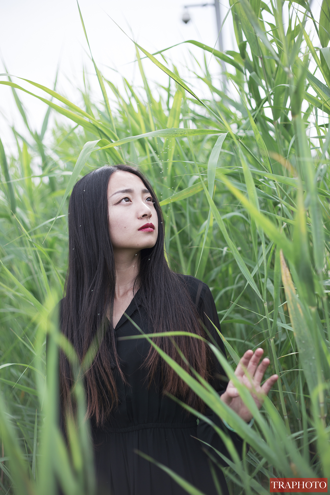 何须忆,泽东篱一组美食片夏末你好,青春two styles【回到童年】简一