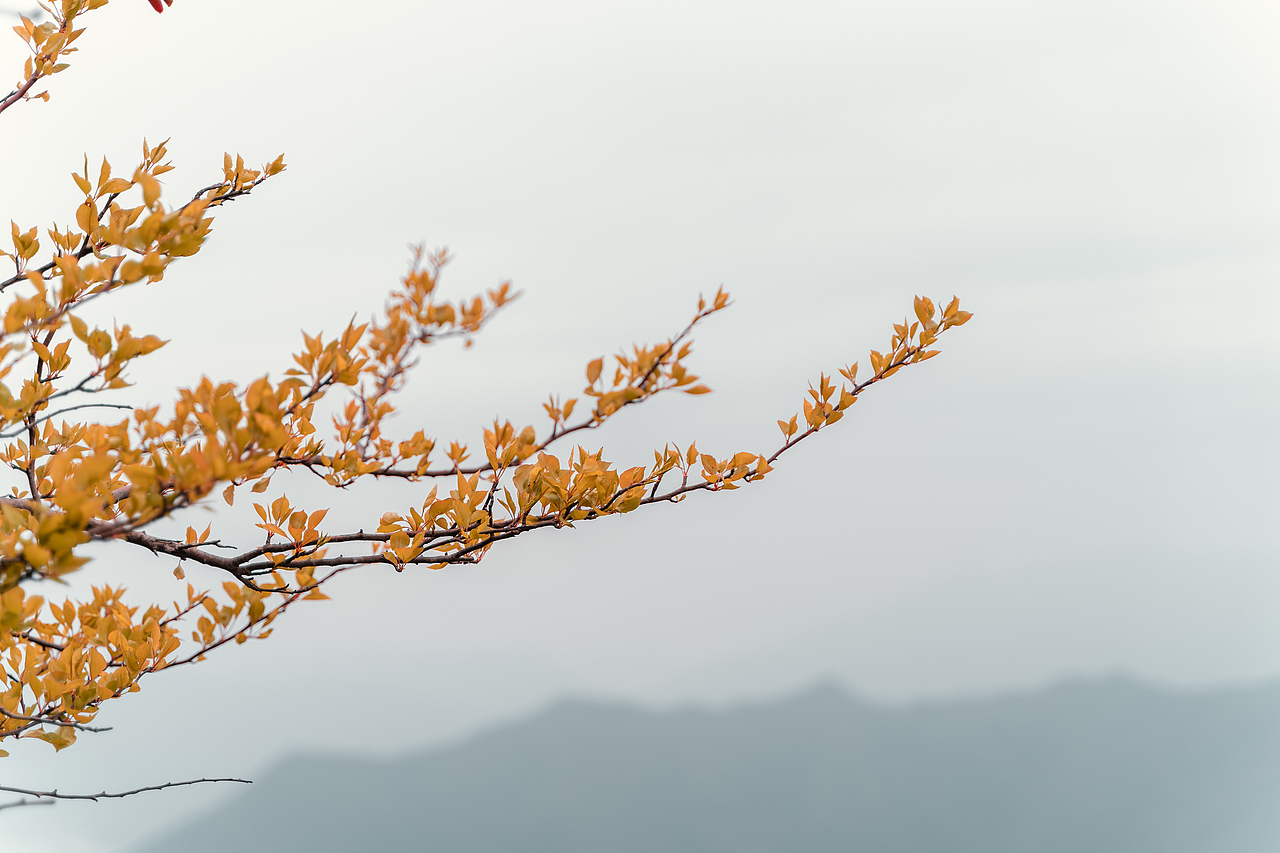自己的路,自己欣赏。