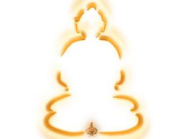 蒜头的修炼之旅