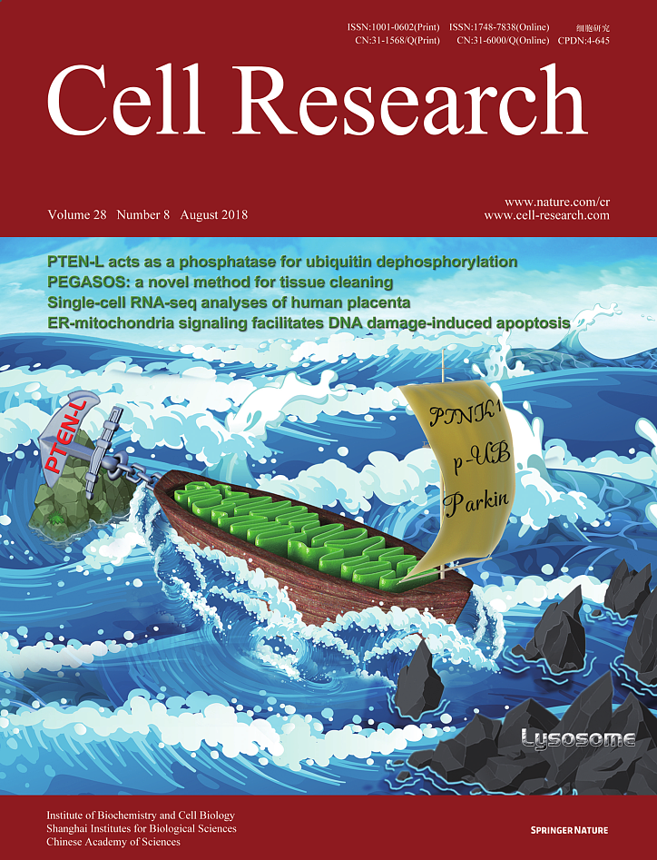 科研绘图作品 邦图文化