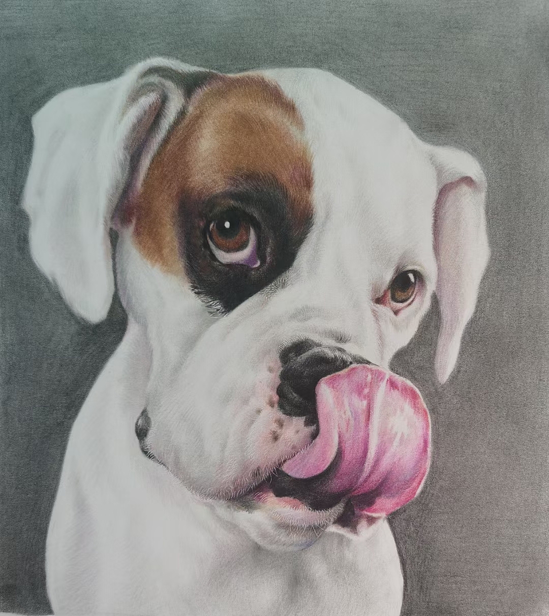 彩鉛狗狗來(lái)啦（圖ZMjk4Nzk3MzE2） - 繪畫 - 站酷設(shè)計(jì)師笑笑彩鉛原創(chuàng)素材 - 站酷ZCOOL