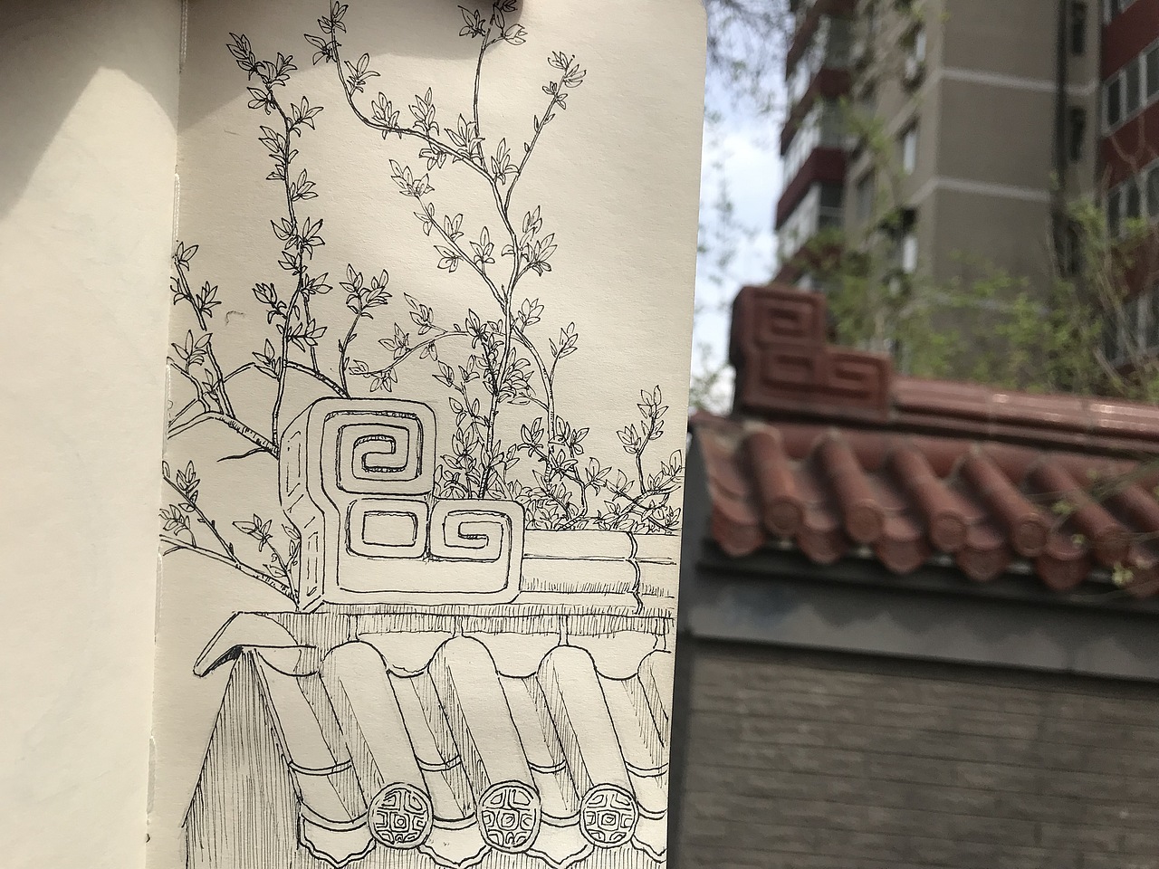 最近的一些速写