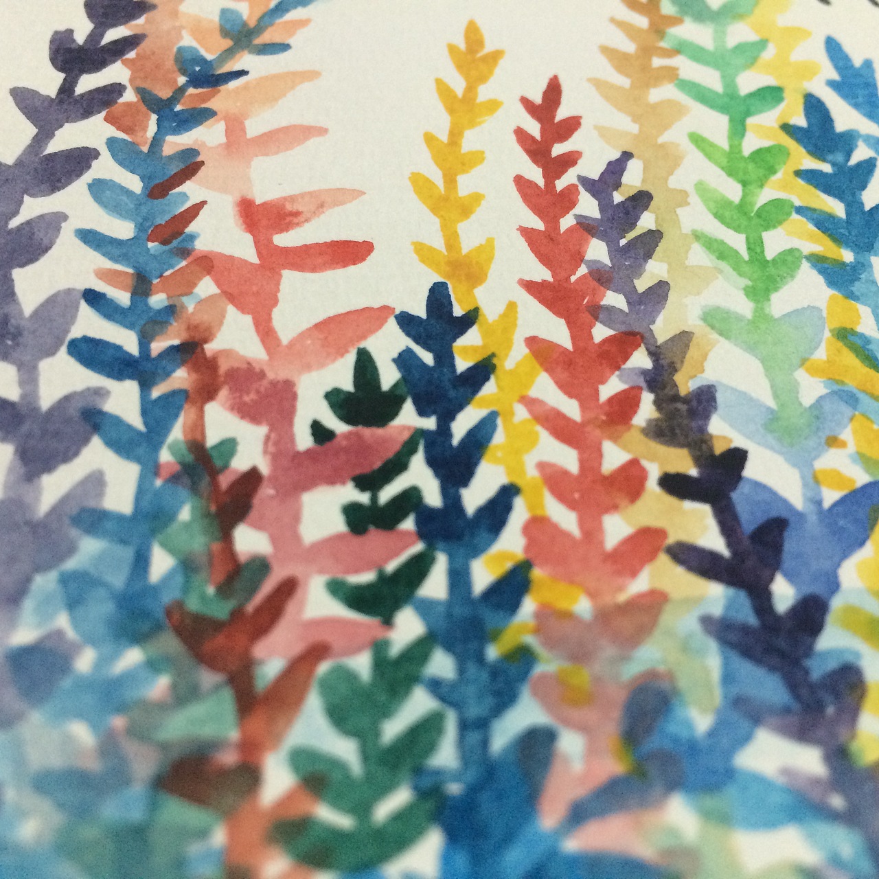 我希望你看见光
看见亮