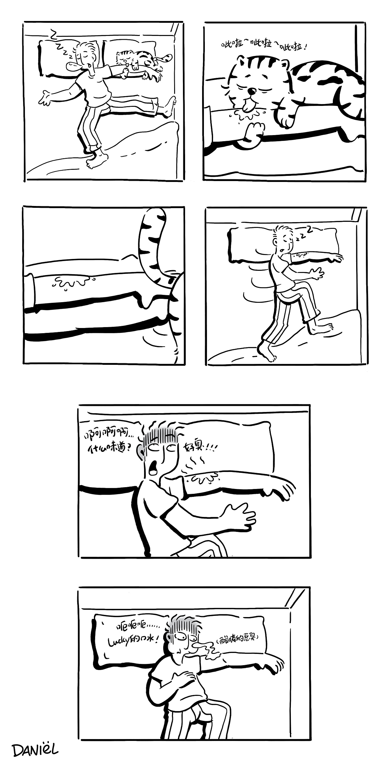 你不知道猫的事儿（12-23话）（图ZMTE2NDE1Mzk2） - 短篇/格漫 - 站酷设计师佐拉Zola原创素材 - 站酷ZCOOL