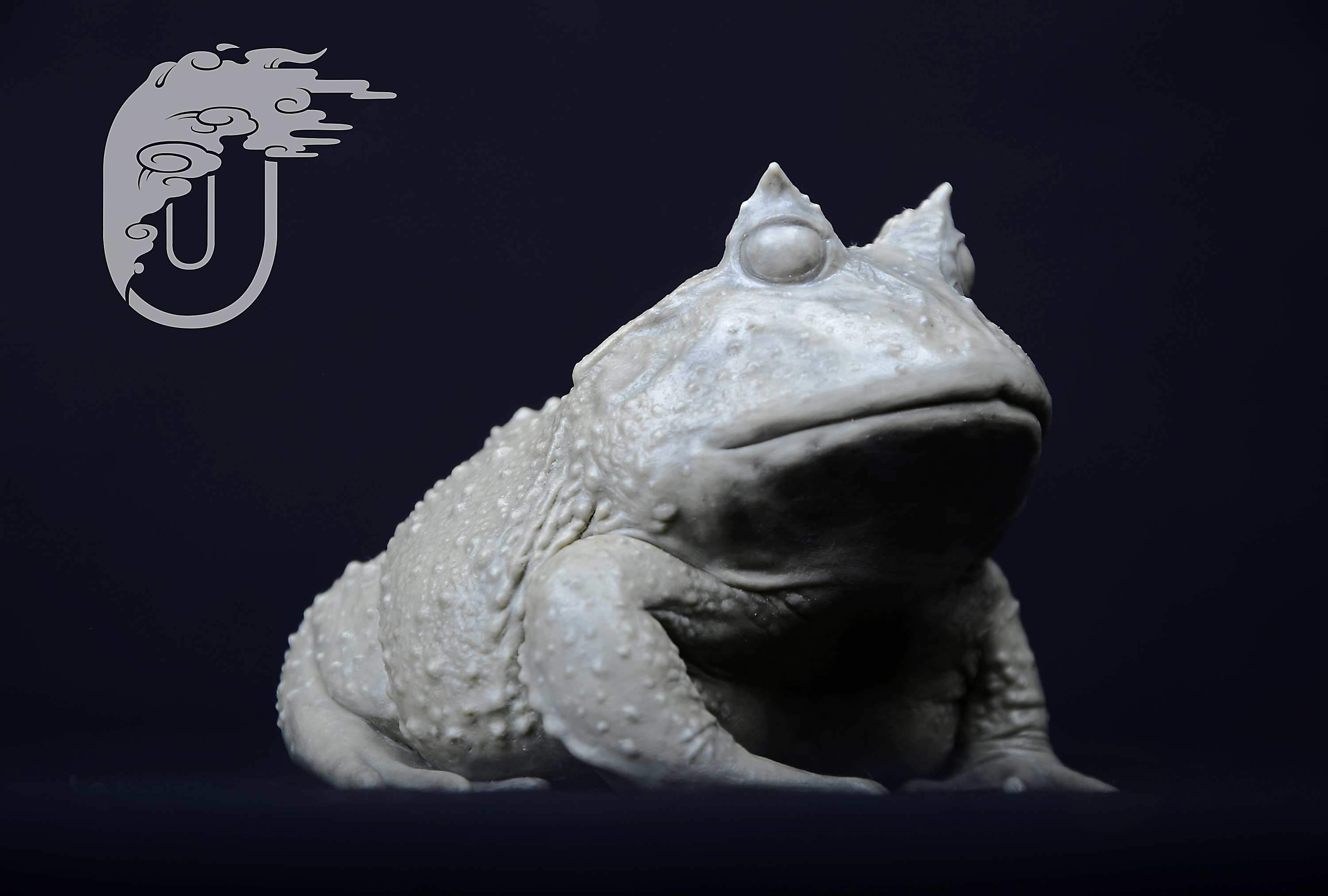 《蝴蝶角蛙》静态模型|手工艺|手办/模玩|池中 - 原创作品 - 站酷