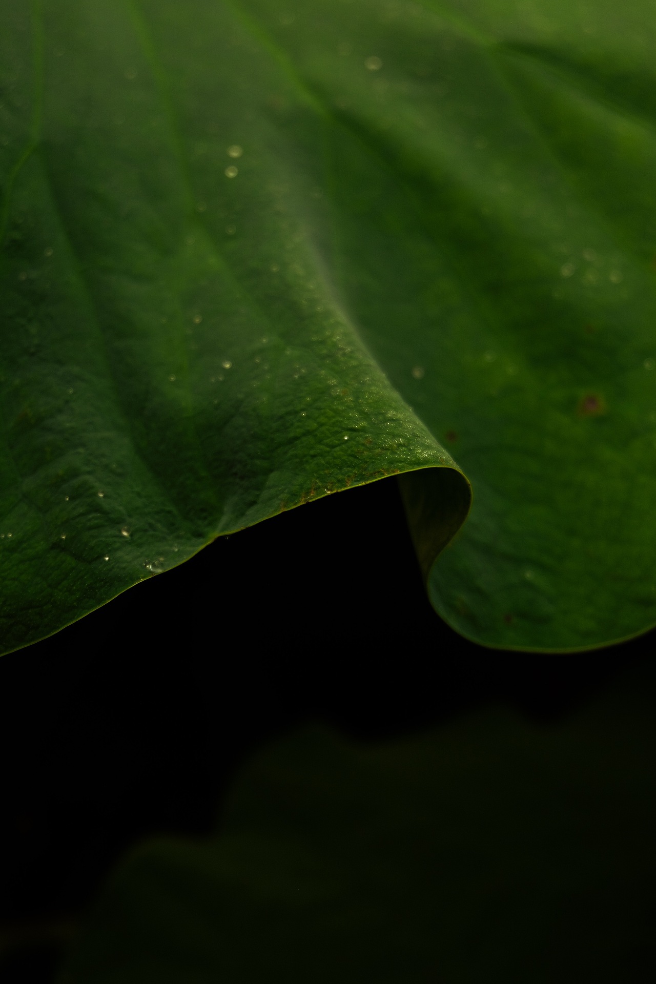 向往一抹清凉，生活是平平淡淡的美好（图ZMTIyMjI4MzMy） - 风光摄影 - 站酷设计师仰天大笑出门去3原创素材 - 站酷ZCOOL