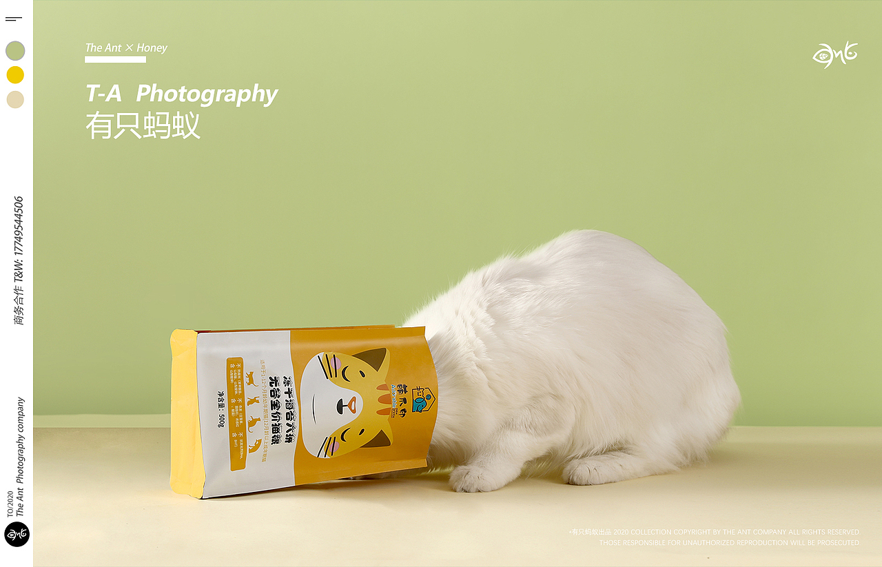 有只蚂蚁x宠物产品丨猫粮