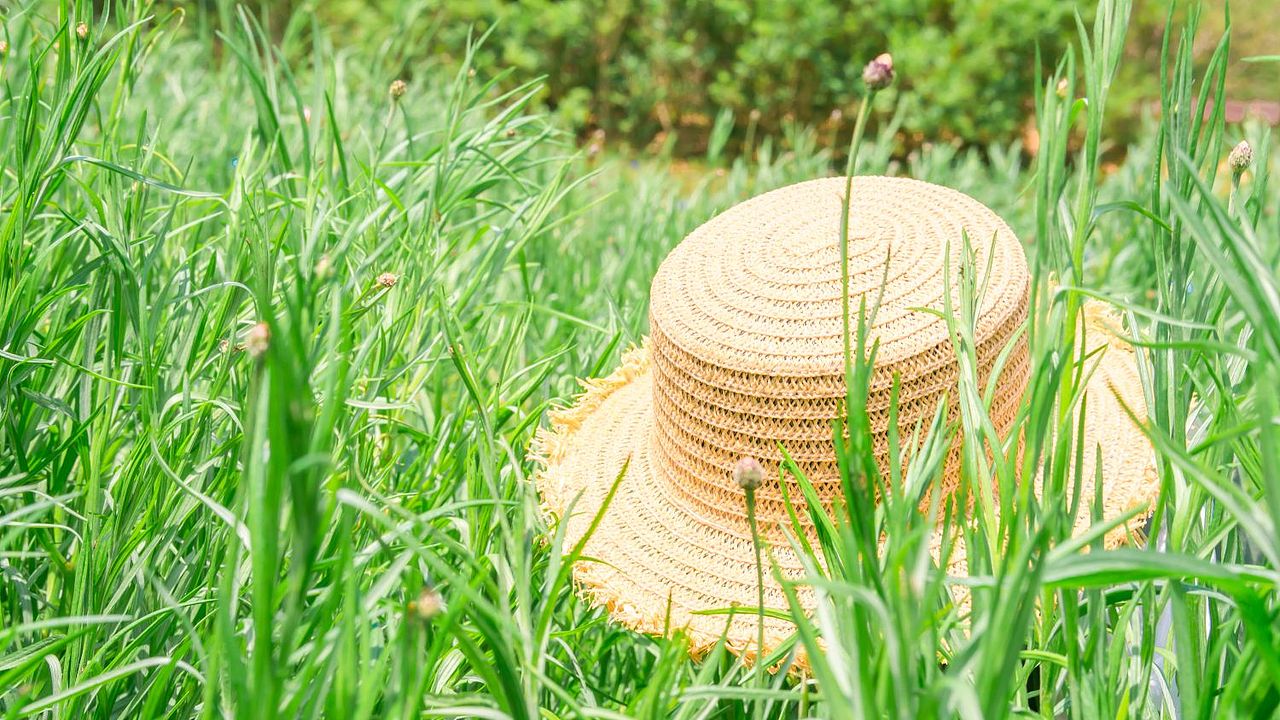 春•气息(2)（图ZMzM4MzA1OTE2） - 人像摄影 - 站酷设计师思思的口袋原创素材 - 站酷ZCOOL