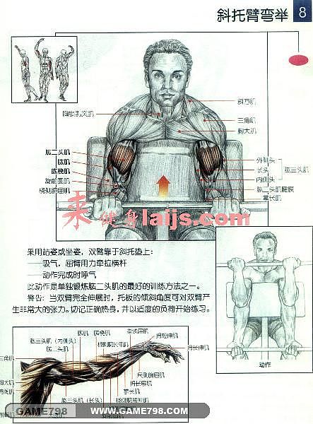 人体骨骼肌肉分布手绘稿